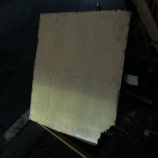 Ng Hon Lam Photography