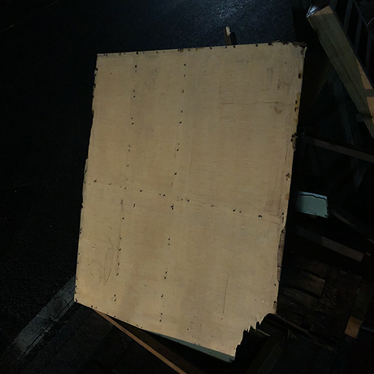 Ng Hon Lam Photography