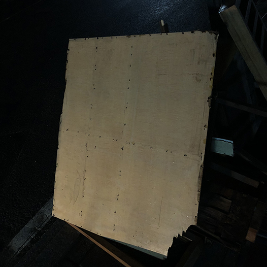 Ng Hon Lam Photography