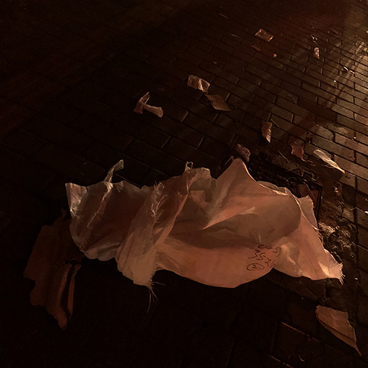 Ng Hon Lam Photography