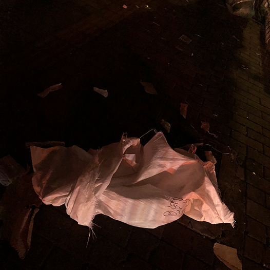 Ng Hon Lam Photography