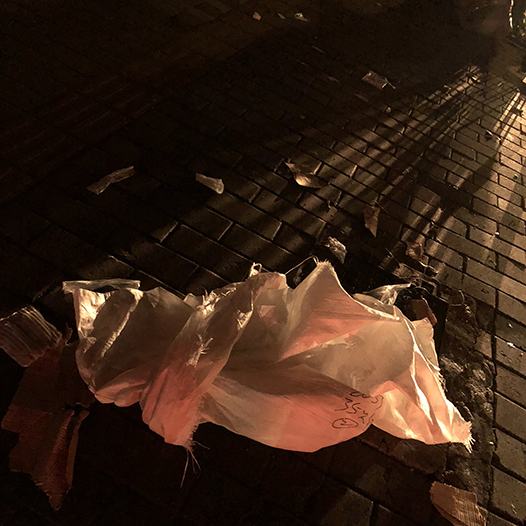 Ng Hon Lam Photography