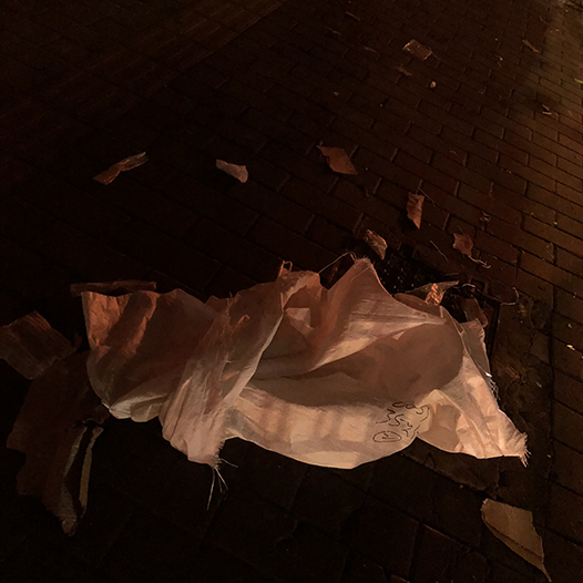 Ng Hon Lam Photography