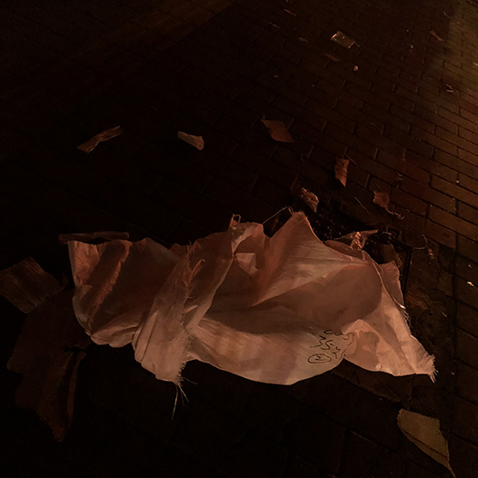 Ng Hon Lam Photography