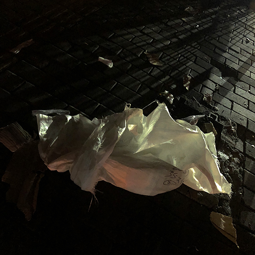 Ng Hon Lam Photography