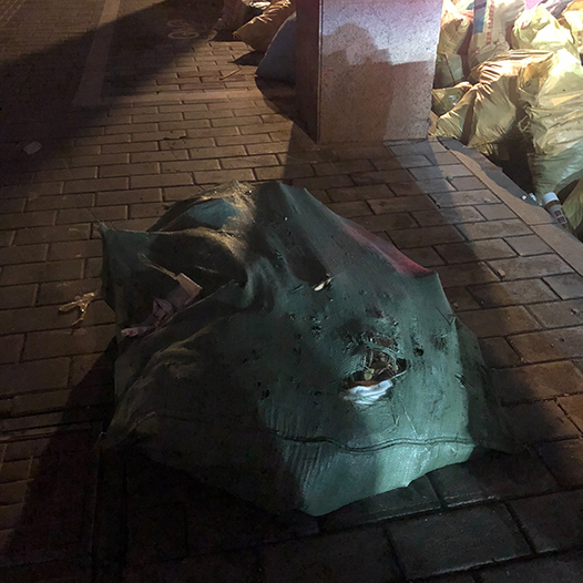 Ng Hon Lam Photography