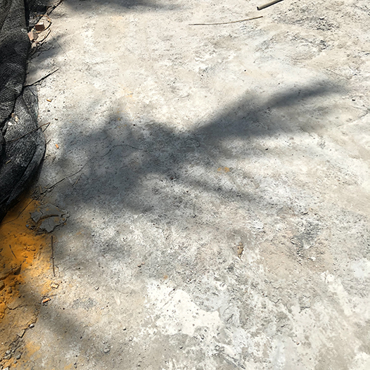 Ng Hon Lam Photography