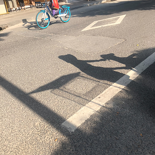 Ng Hon Lam Photography