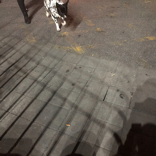 Ng Hon Lam Photography