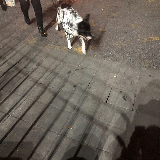 Ng Hon Lam Photography