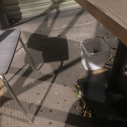 Ng Hon Lam Photography