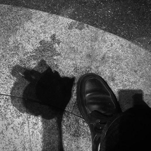 Ng Hon Lam Photography