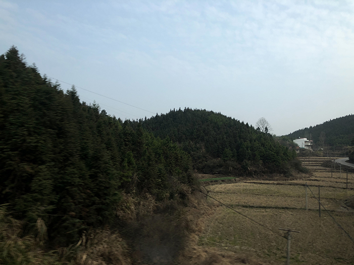 Ng Hon Lam Photography