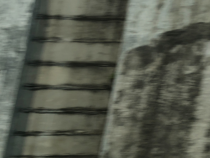 Ng Hon Lam Photography