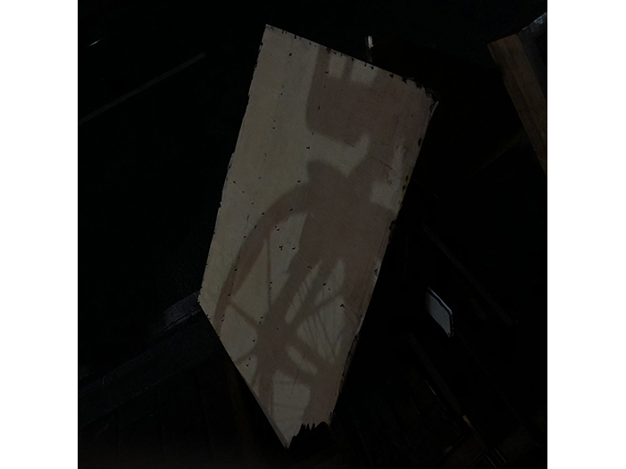 Ng Hon Lam Photography