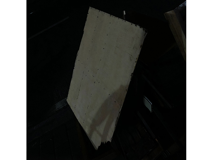 Ng Hon Lam Photography