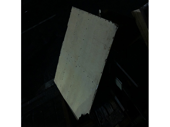 Ng Hon Lam Photography