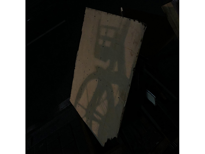 Ng Hon Lam Photography