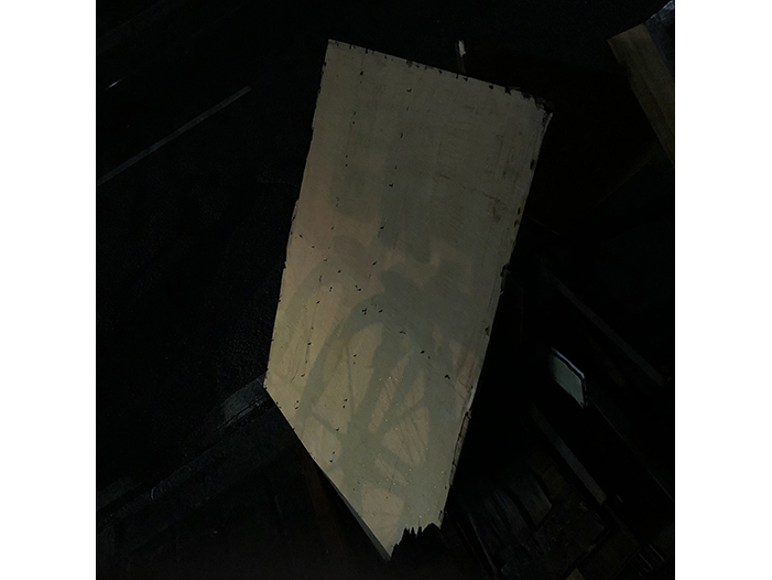 Ng Hon Lam Photography