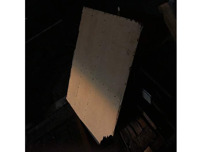 Ng Hon Lam Photography