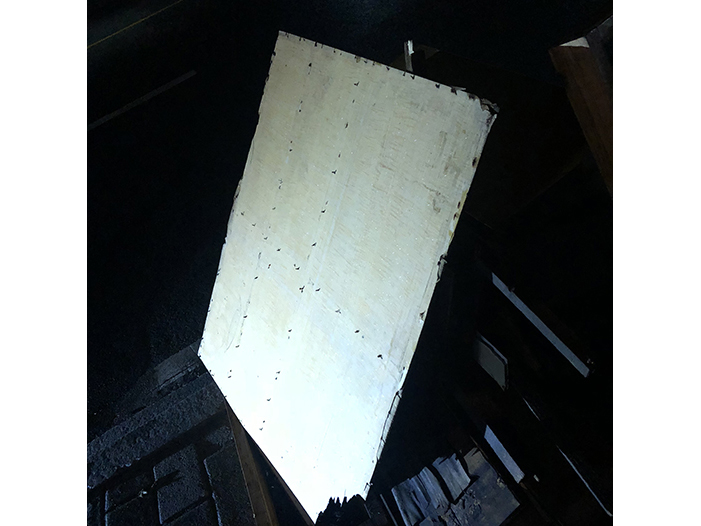 Ng Hon Lam Photography