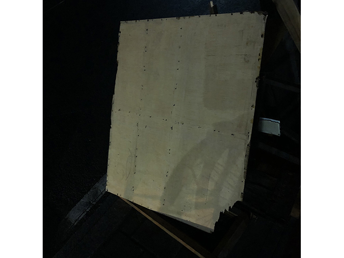 Ng Hon Lam Photography