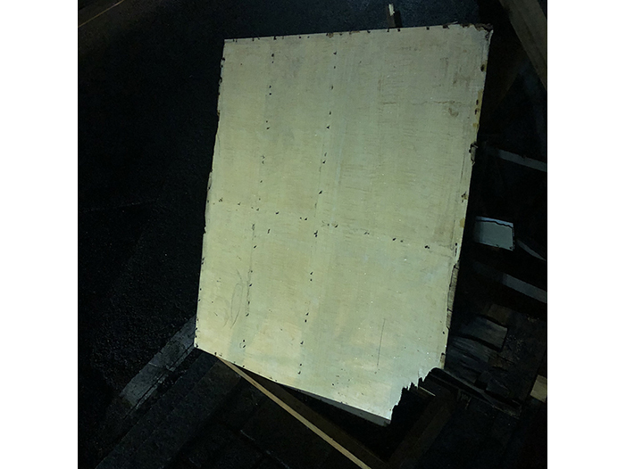 Ng Hon Lam Photography