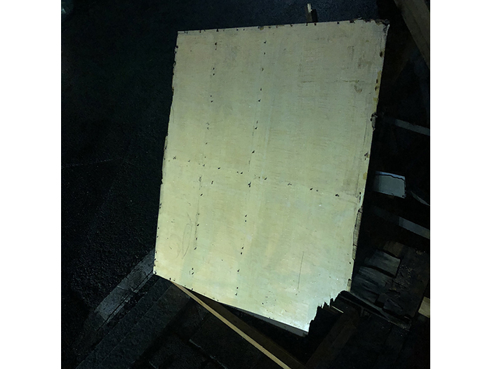 Ng Hon Lam Photography