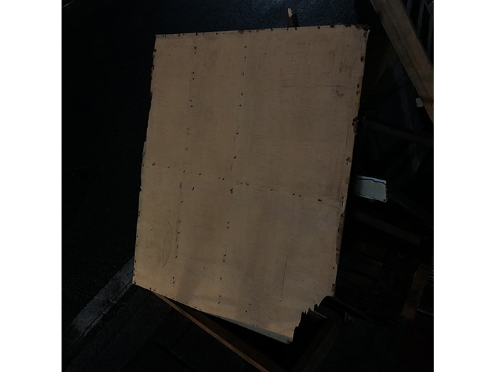 Ng Hon Lam Photography