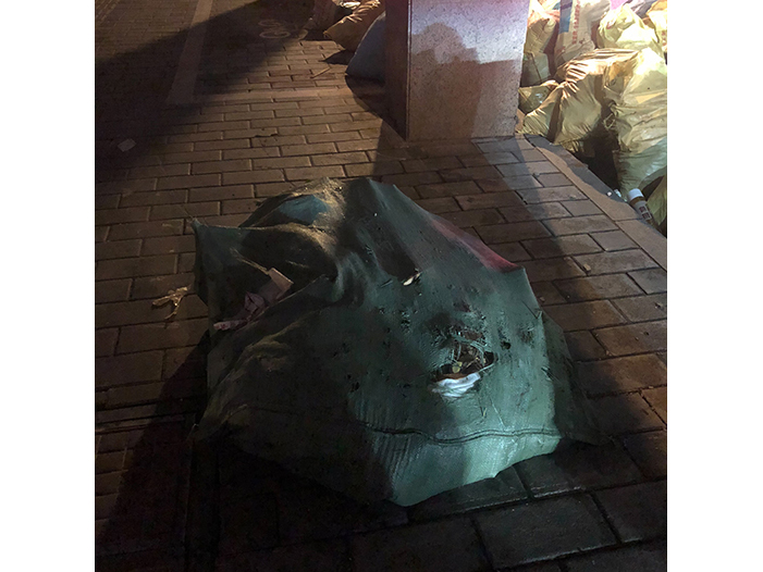 Ng Hon Lam Photography