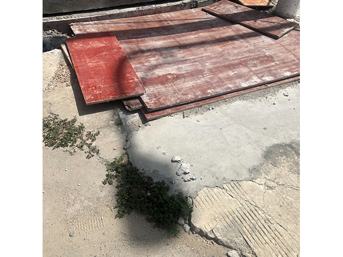 Ng Hon Lam Photography