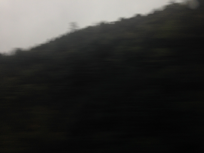 Ng Hon Lam Photography