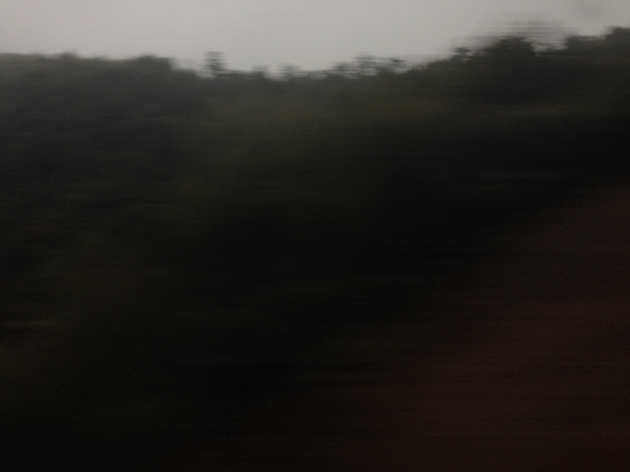 Ng Hon Lam Photography