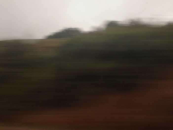 Ng Hon Lam Photography