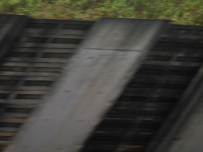 Ng Hon Lam Photography