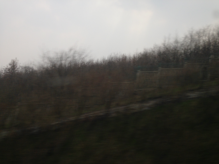 Ng Hon Lam Photography