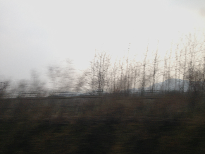 Ng Hon Lam Photography