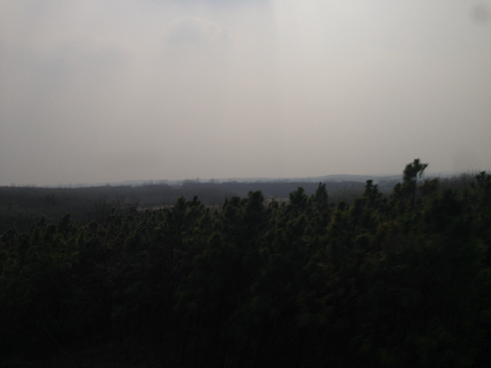 Ng Hon Lam Photography