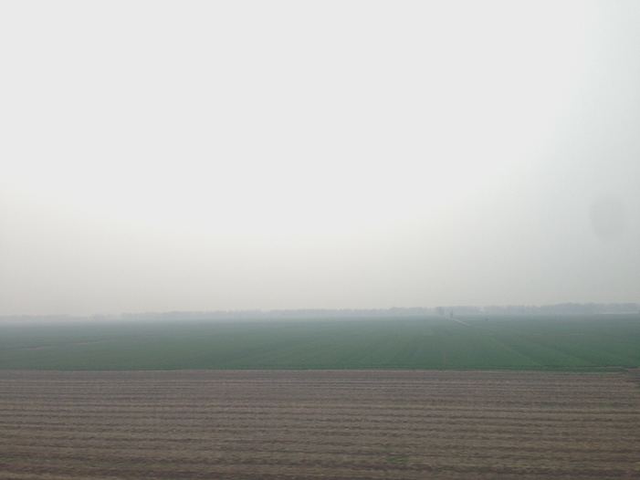 Ng Hon Lam Photography