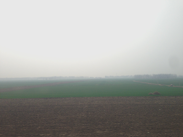 Ng Hon Lam Photography