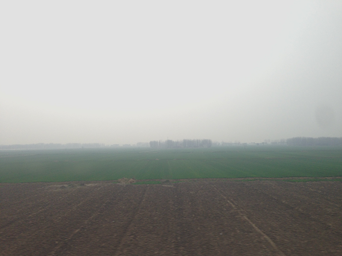 Ng Hon Lam Photography