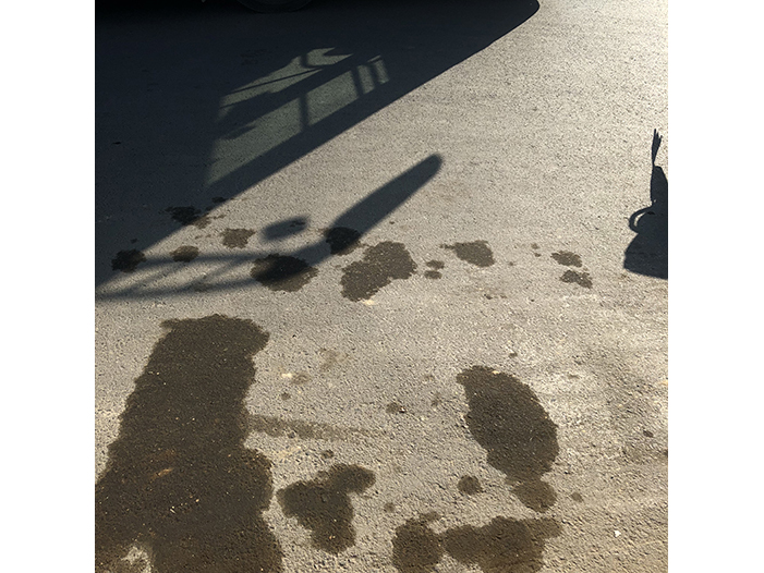 Ng Hon Lam Photography