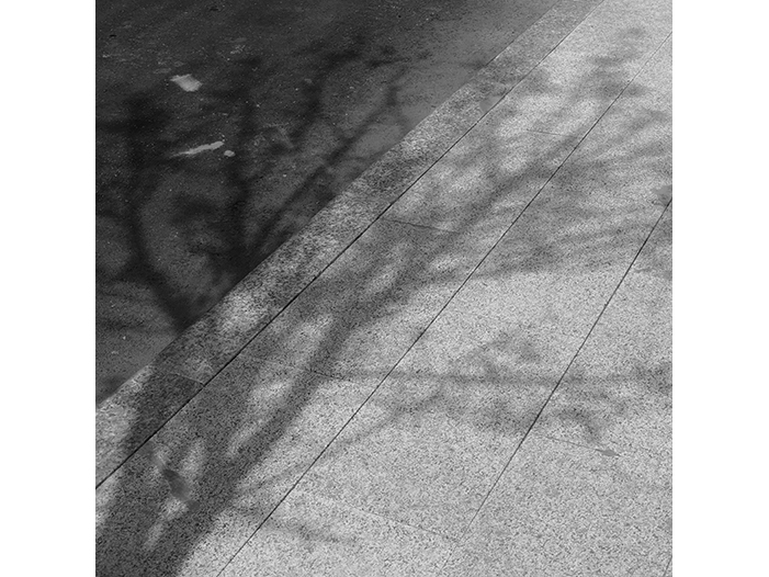 Ng Hon Lam Photography