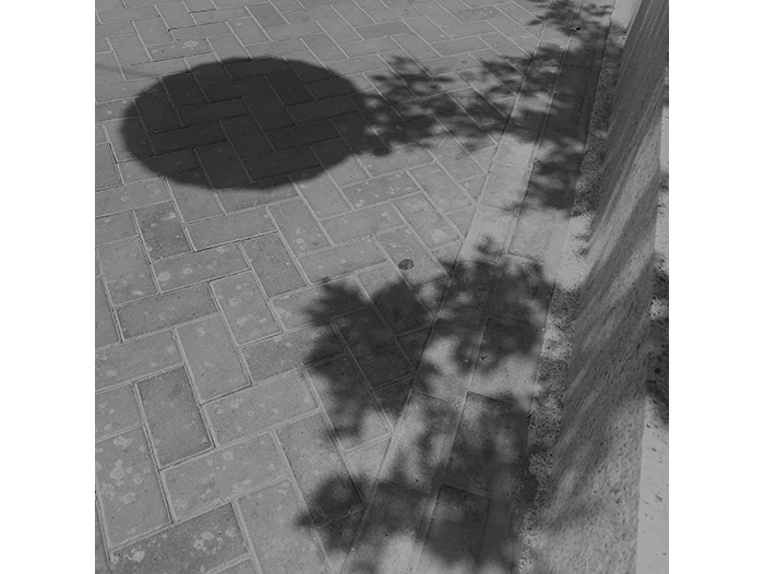 Ng Hon Lam Photography