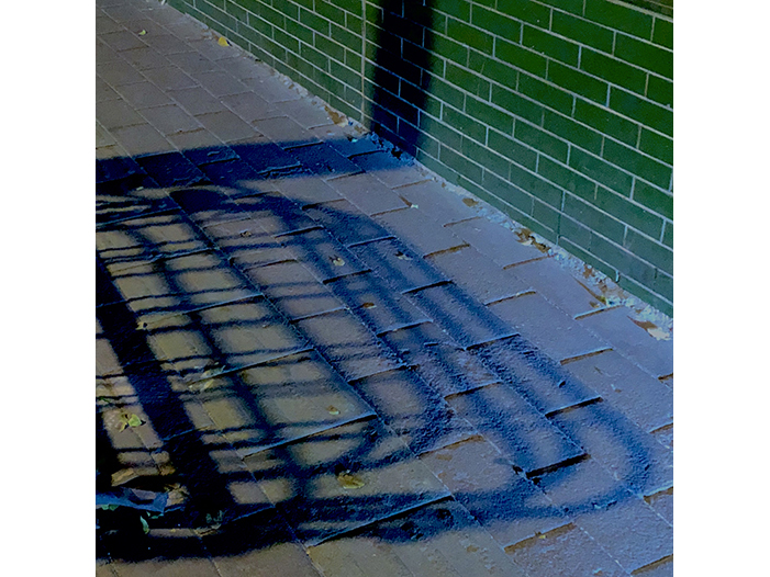 Ng Hon Lam Photography