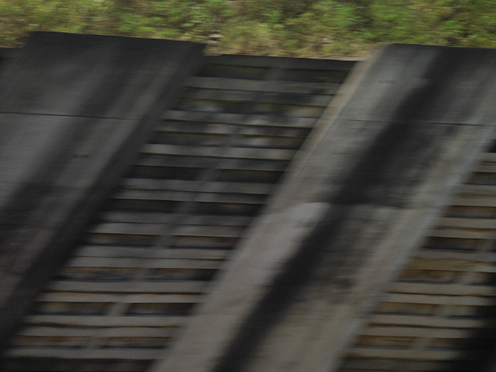 Ng Hon Lam Photography