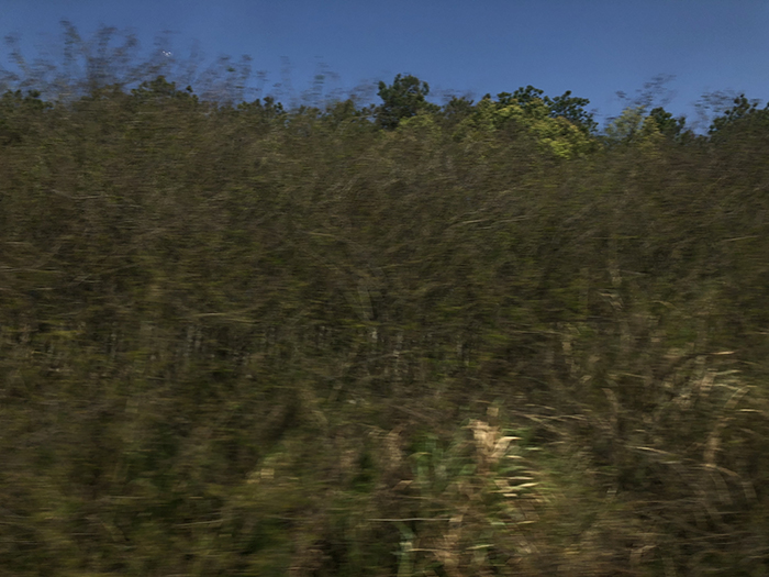 Ng Hon Lam Photography