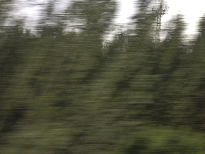 Ng Hon Lam Photography