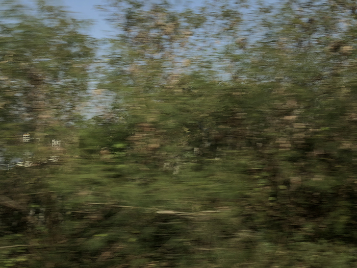 Ng Hon Lam Photography