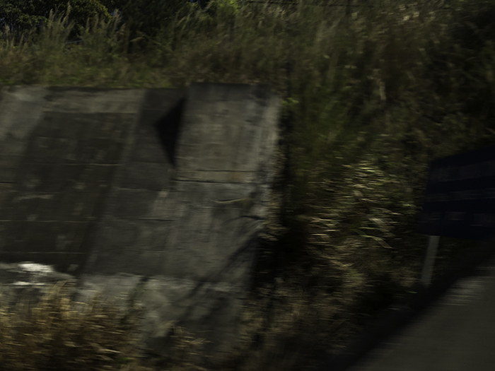 Ng Hon Lam Photography